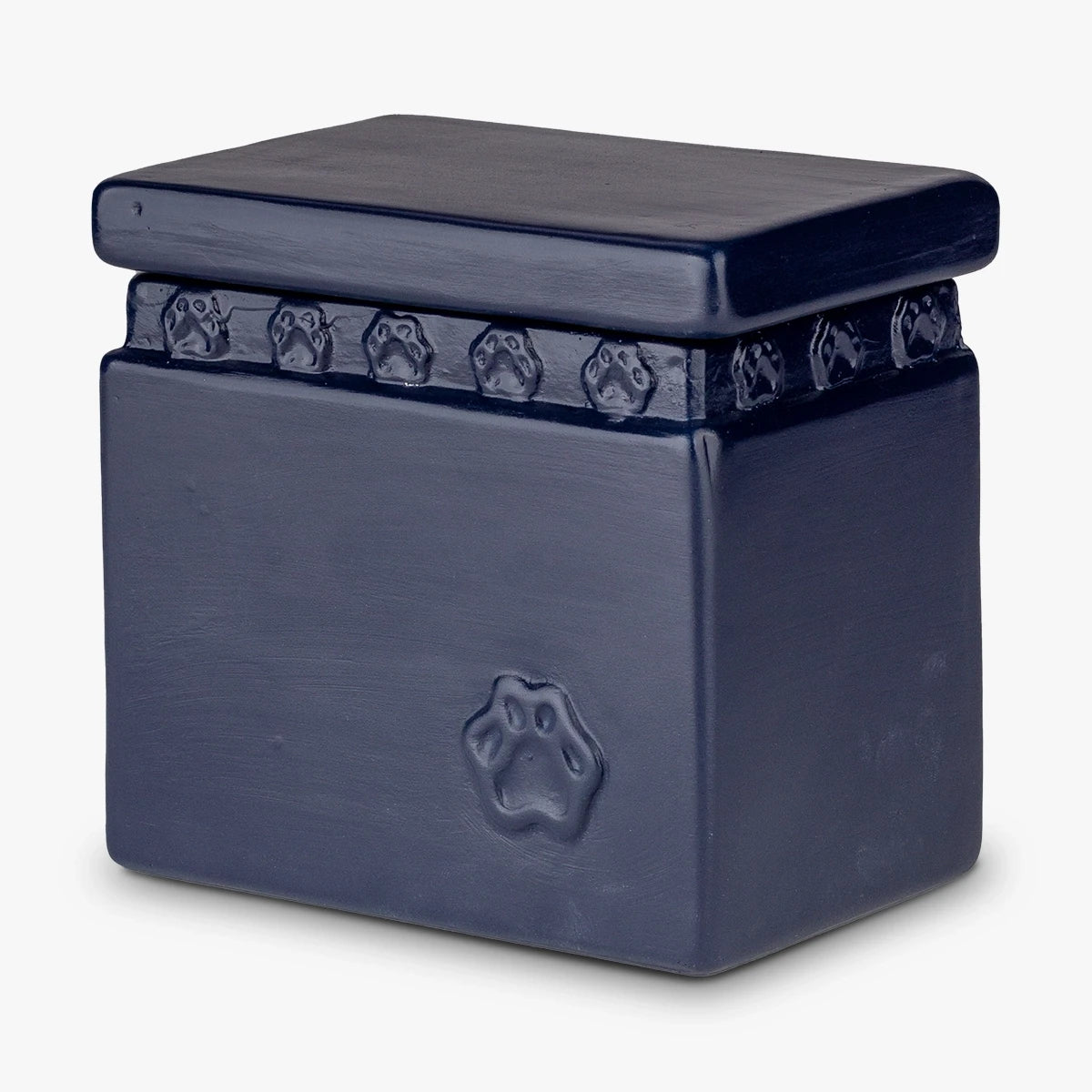 Gentle Pawprints Biodegradable Pet Urn for Ashes in Blue