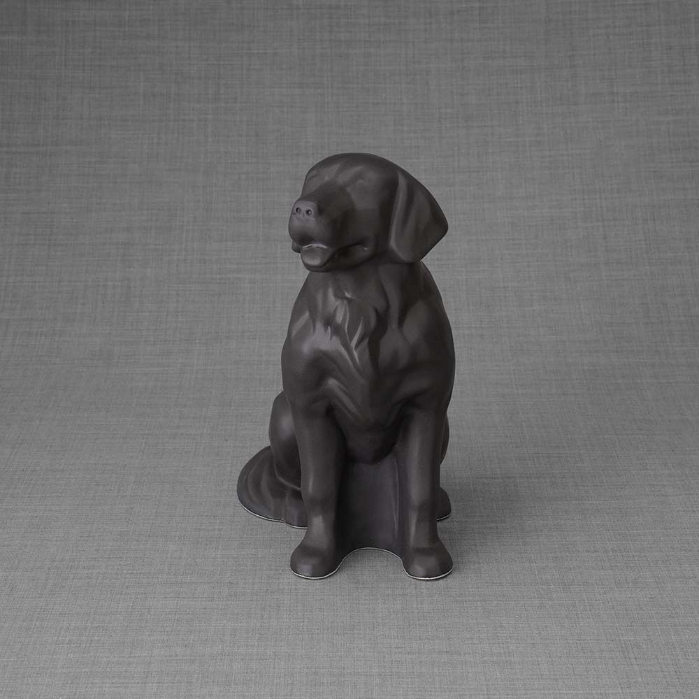 Golden Retriever Pet Urn for Ashes in Matte Grey Front