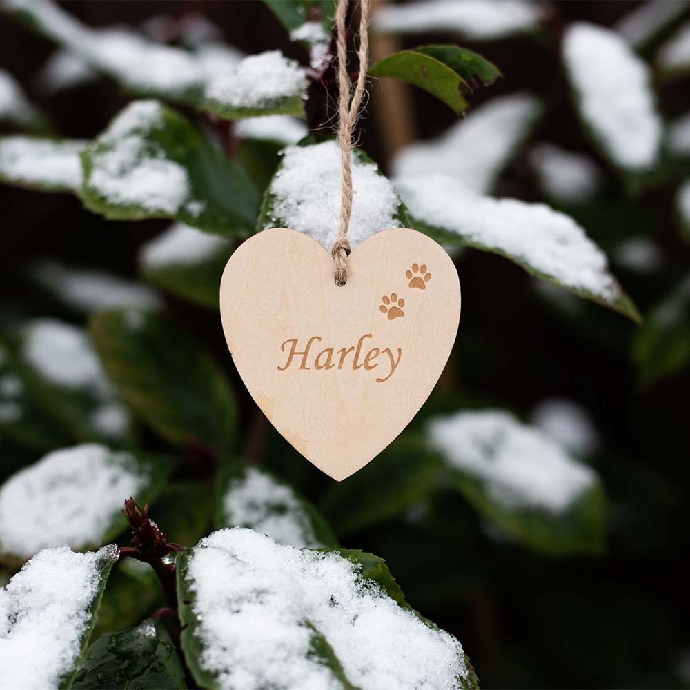 Heart Message Tag with Dogs Face Outside in Front of Snow