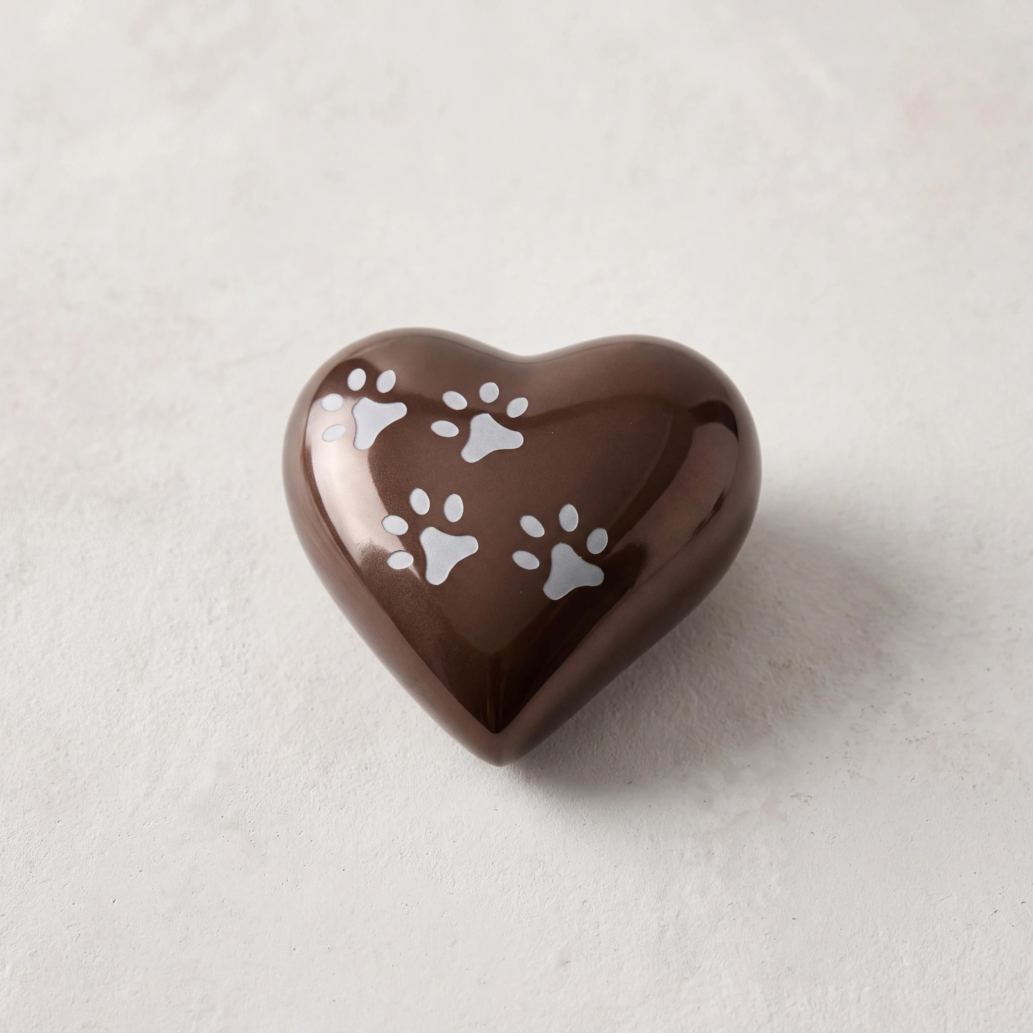 Heart-Pawprints-Pet-Urn-for-Ashes-in-Bronze-Silver-Keepsake-heart_plaster_above