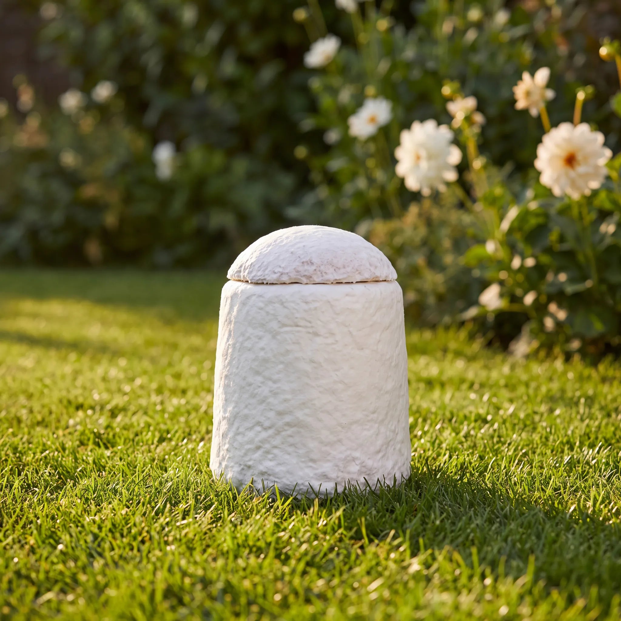 Loop EarthRise™ Biodegradable Urn for Ashes - Small