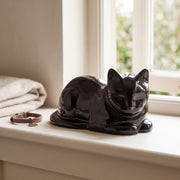 Lying Cat Urn for Ashes in Glossy Black