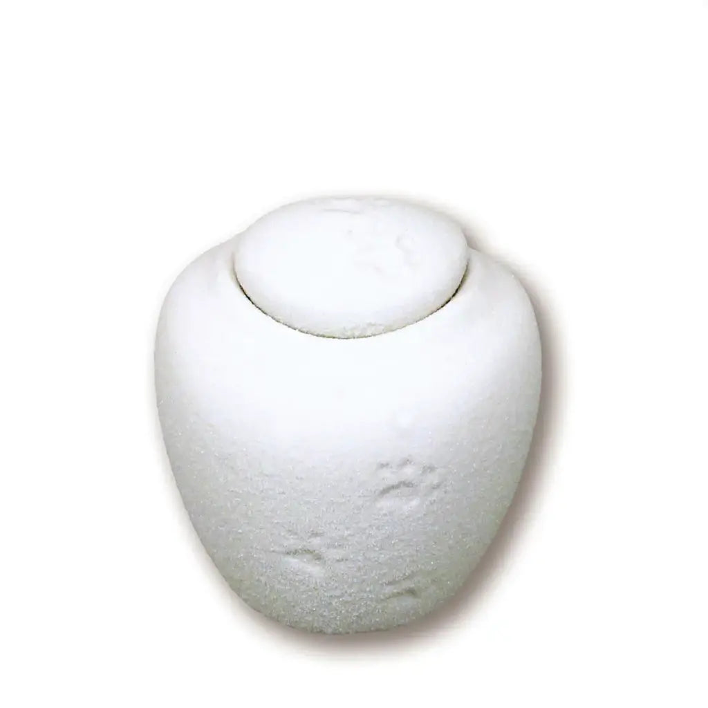 Oceane Quartz Biodegradable Water Urn for Pet Ashes - Small