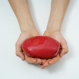 Palm Stone Small Urn for Ashes in Red