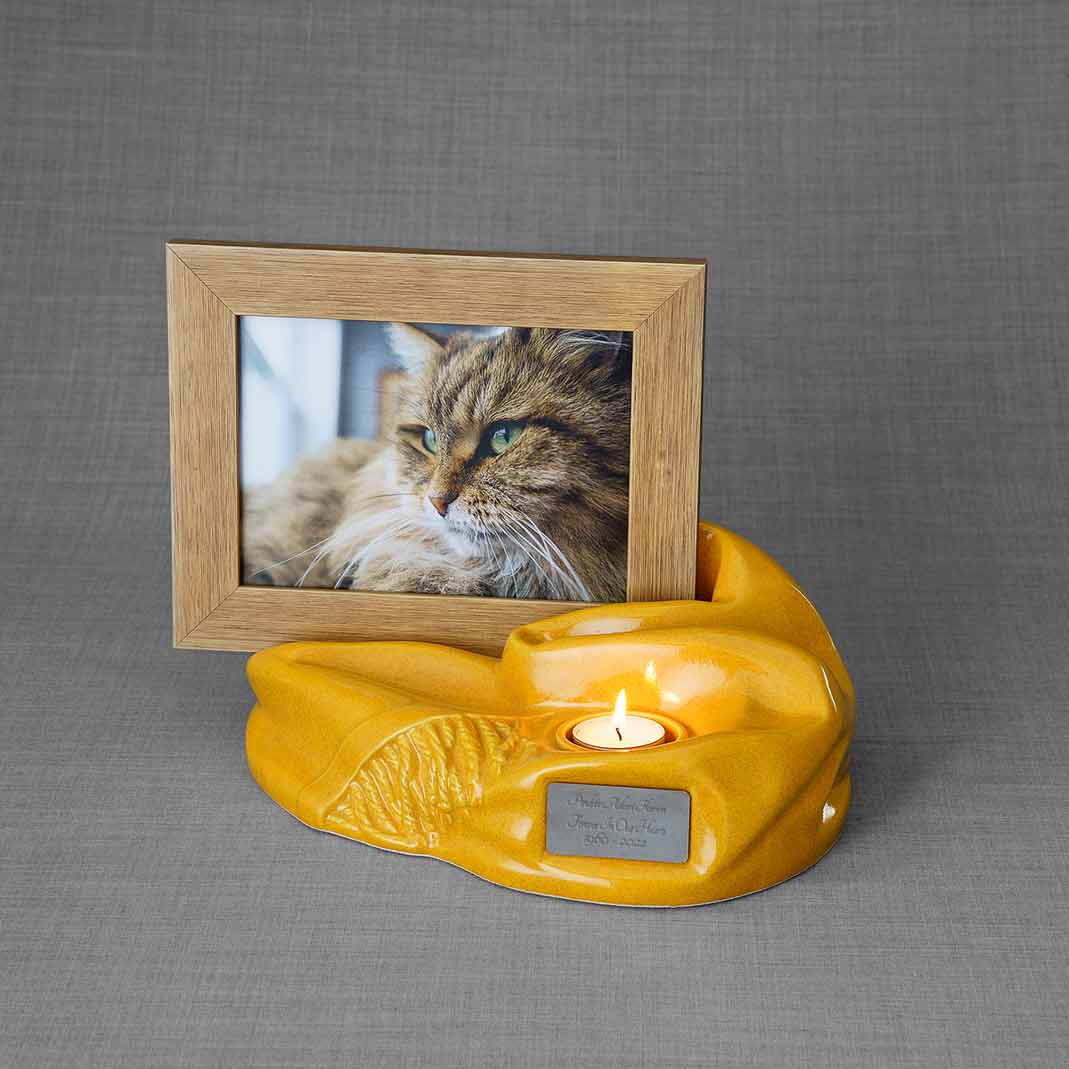 Picture Frame Pet Urns for Ashes in Amber Ceramic with Photo of Cat