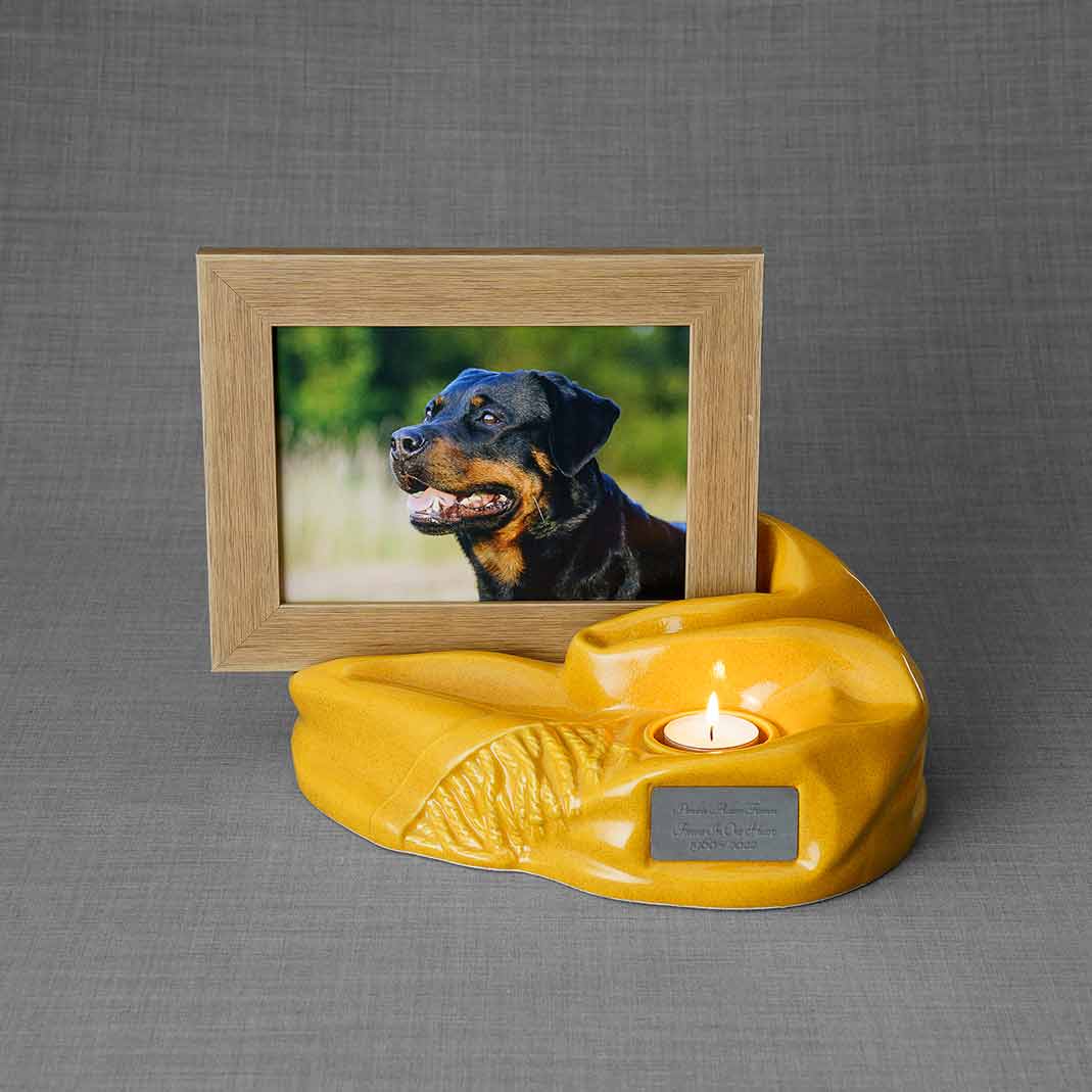 Picture Frame Pet Urns for Ashes in Amber Ceramic with Photo of Dog