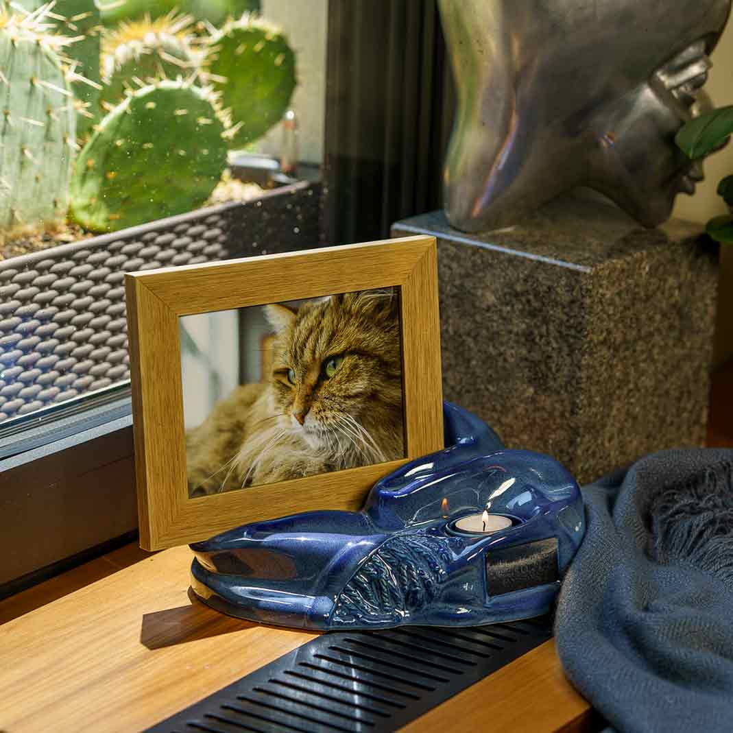 Picture Frame Pet Urns For Ashes In Blue Ceramic Facing Right With Photo Of Cat On Shelf Higher Angle