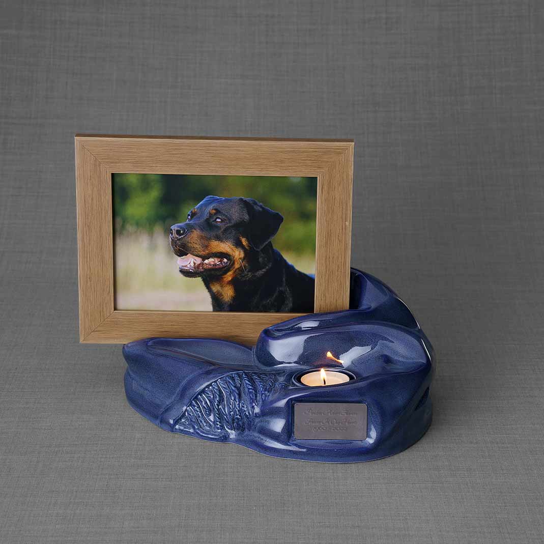 Picture Frame Pet Urns For Ashes In Blue Ceramic With Photo Of Dog