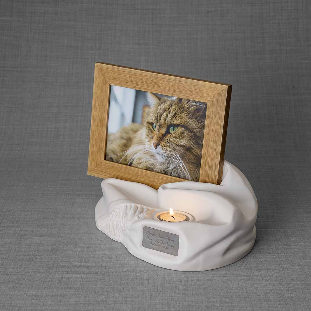 Picture Frame Pet Urns For Ashes In Matte White Ceramic Facing Left With Photo Of Cat