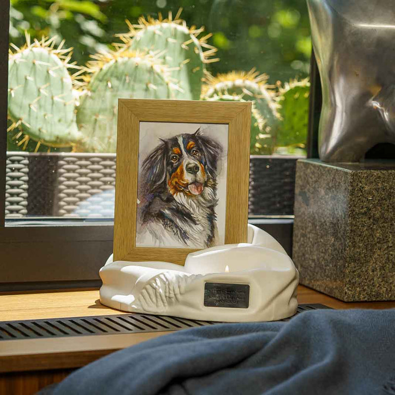 Picture Frame Pet Urns For Ashes In Matte White Ceramic Facing Left With Photo Of Dog On Shelf In Home