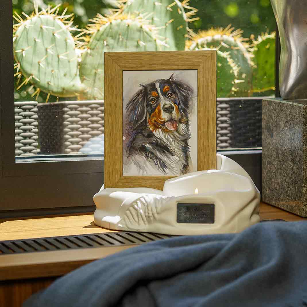 Picture Frame Pet Urns For Ashes In Matte White Ceramic Facing Left With Photo Of Dog On Shelf