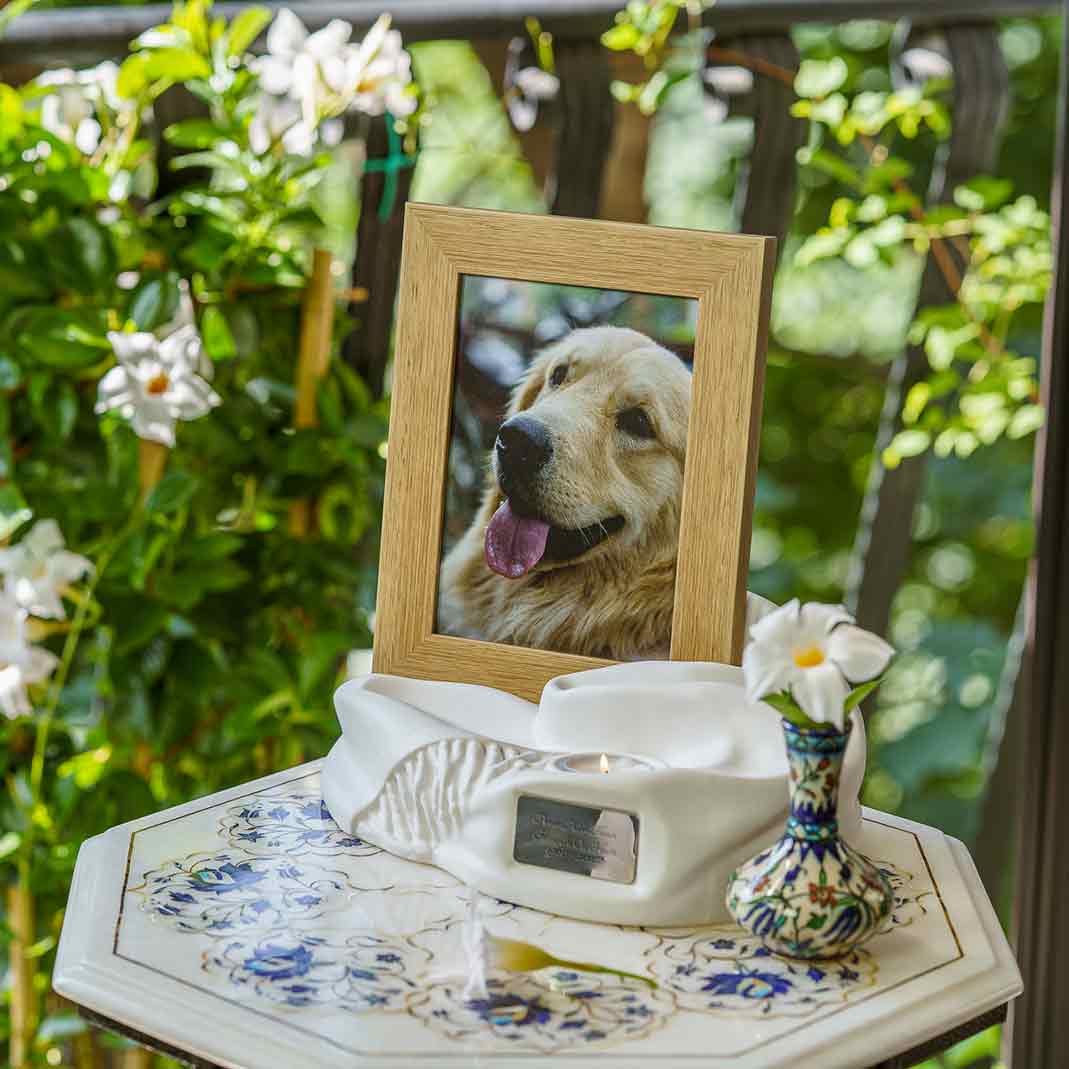 Picture Frame Pet Urns For Ashes In Matte White Ceramic Facing Left With Photo Of Dog On Table