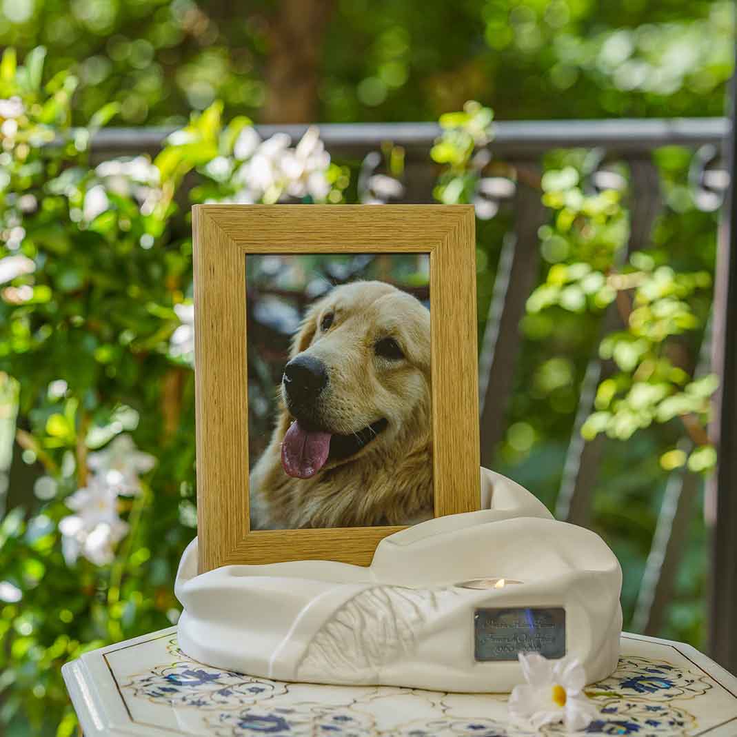Picture Frame Pet Urns For Ashes In Matte White Ceramic Facing Right Close Up With Photo Of Dog On Table_Jpg