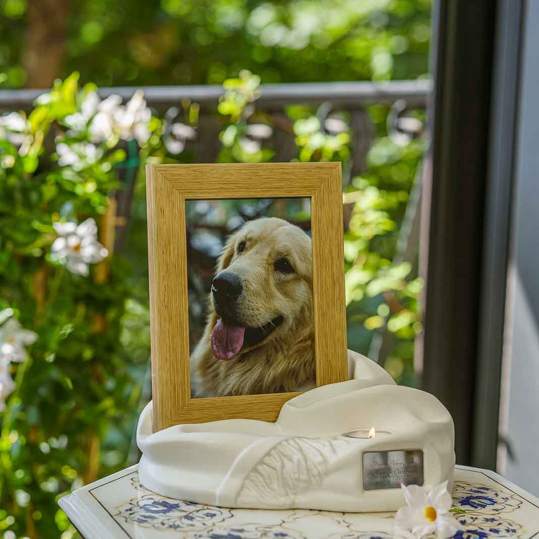 Picture Frame Pet Urns For Ashes In Matte White Ceramic Facing Right With Photo Of Dog On Table_Jpg