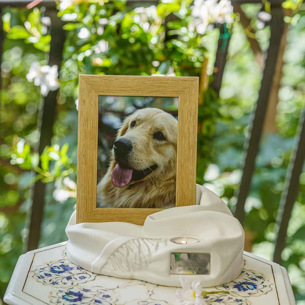 Picture Frame Pet Urns For Ashes In Matte White Ceramic With Photo Of Dog On Table
