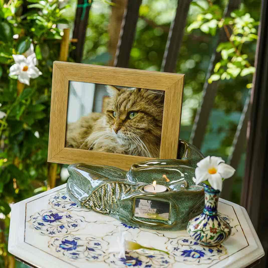 Picture Frame Pet Urns for Ashes in Oily Green Ceramic Facing Left Close Up with Photo of Cat on Table