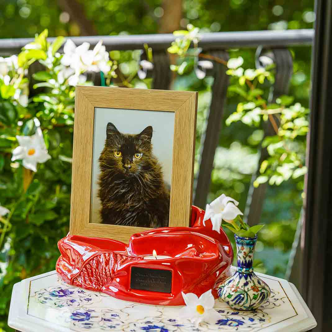 Picture Frame Pet Urns for Ashes in Red Ceramic Facing Left with Photo of Cat On Table