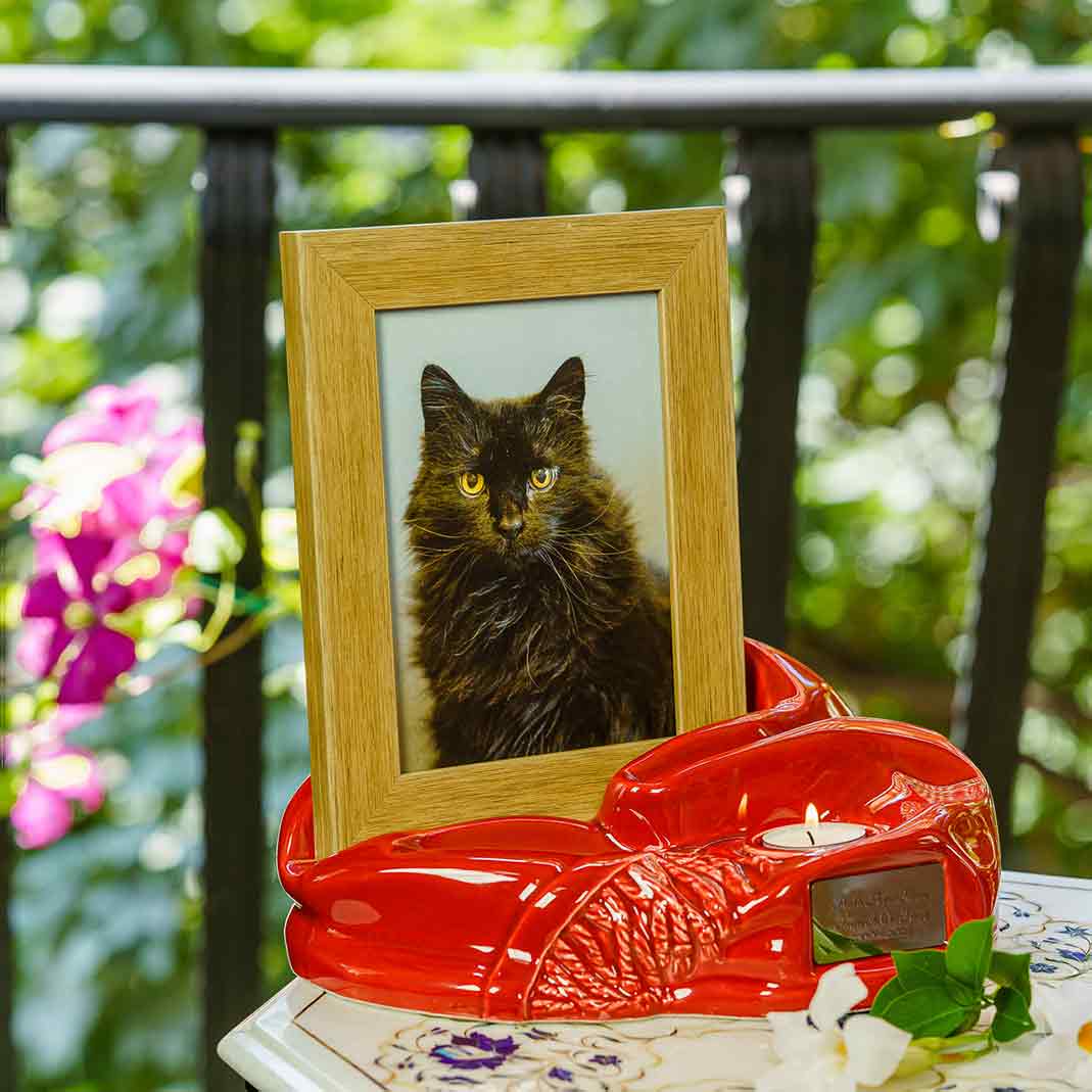 Picture Frame Pet Urns For Ashes In Red Ceramic Facing Right With Photo Of Cat On Table