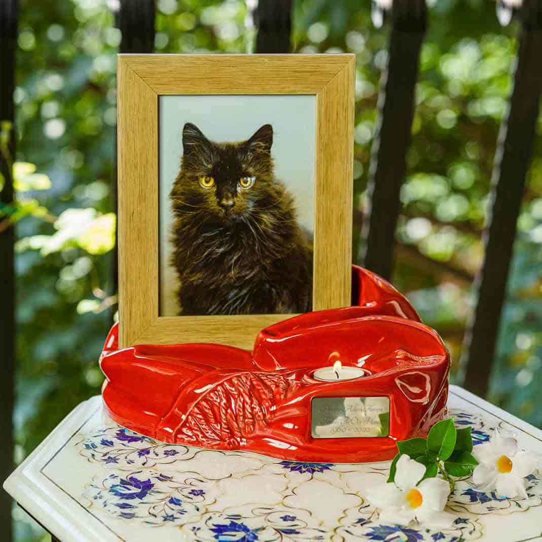 Picture Frame Pet Urns for Ashes in Red Ceramic with Photo of Cat On Table