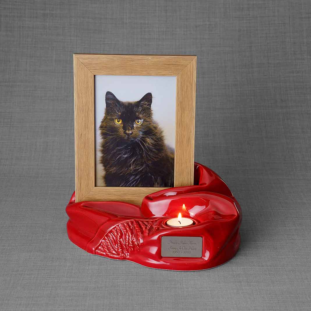 Picture Frame Pet Urns for Ashes in Red Ceramic with Photo of Cat