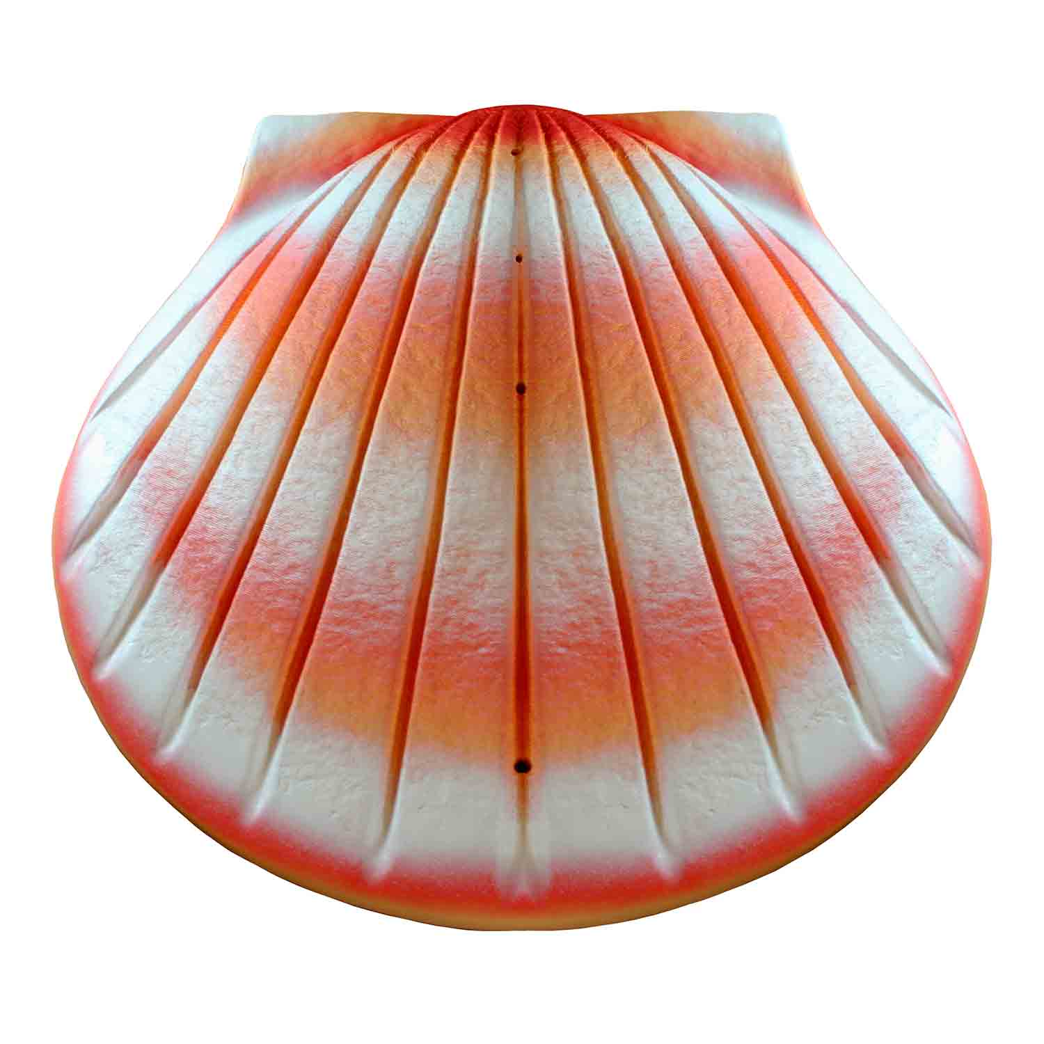 Shell Biodegradable Water Urns for Ashes in Coral Pink