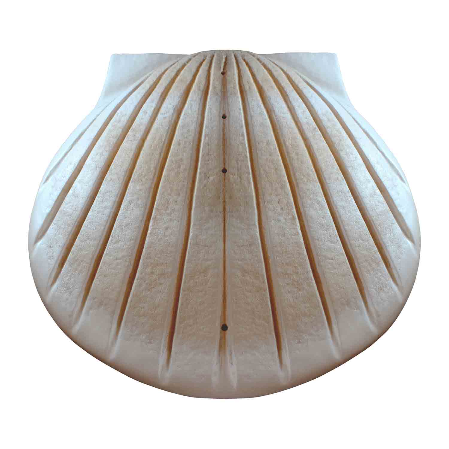 Shell Biodegradable Water Urns for Ashes in Pearl