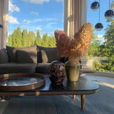 Splash Modern Adult Cremation Urns for Ashes