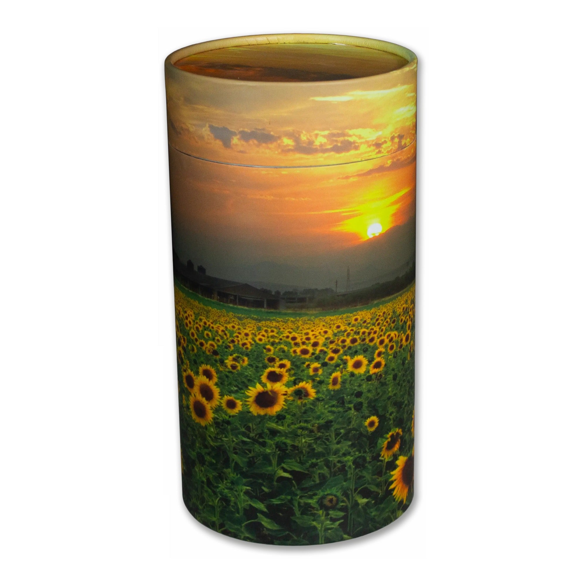 Sunflower Fields Eco Friendly Scattering Tube for Ashes - Extra Large (No. 10)