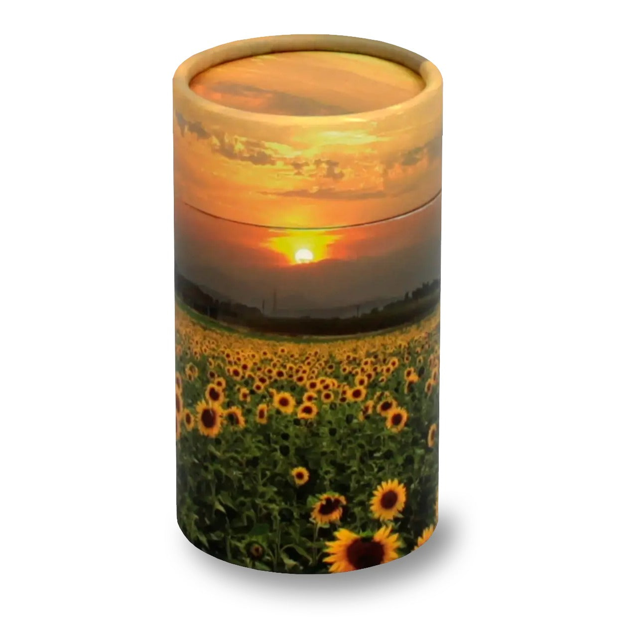 Sunflower Fields Eco Friendly Scattering Tube for Ashes - Mini