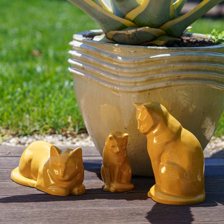 Amber Cat Urns Outside Near Plant Pot In The Sun Outside