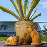 Sitting Cat Urn for Ashes in Amber