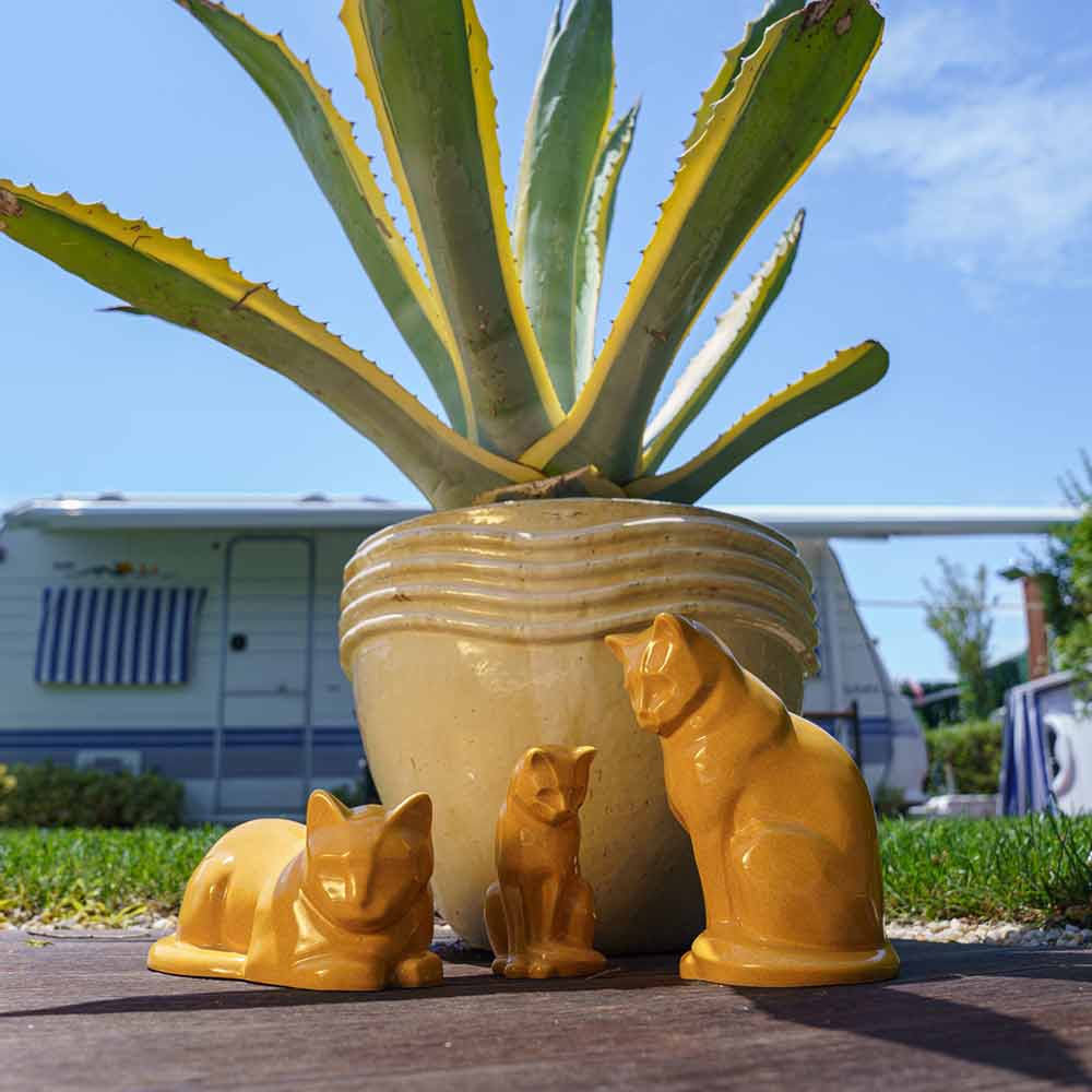 Cat Urns For Ashes Amber Outside Next To A Plant Pot