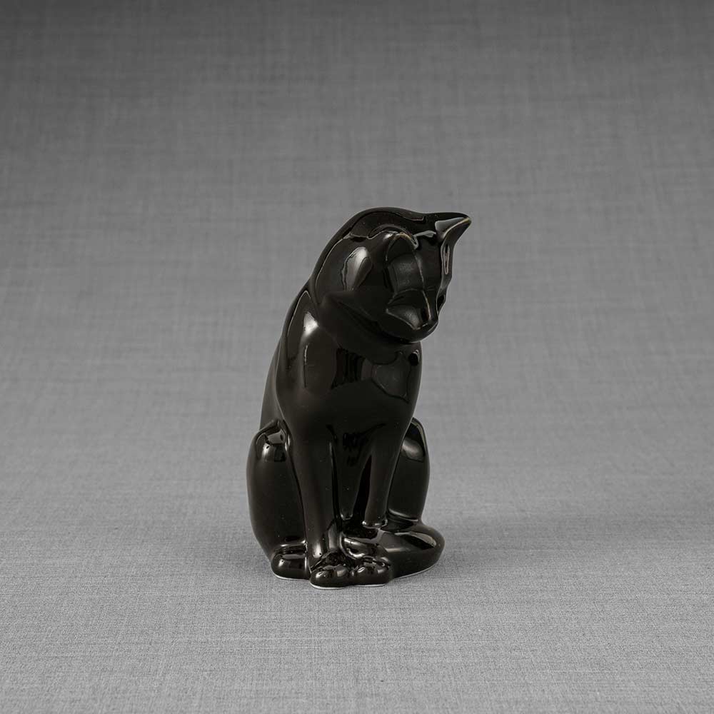 Kitten Urn For Ashes Glossy Black Front Right
