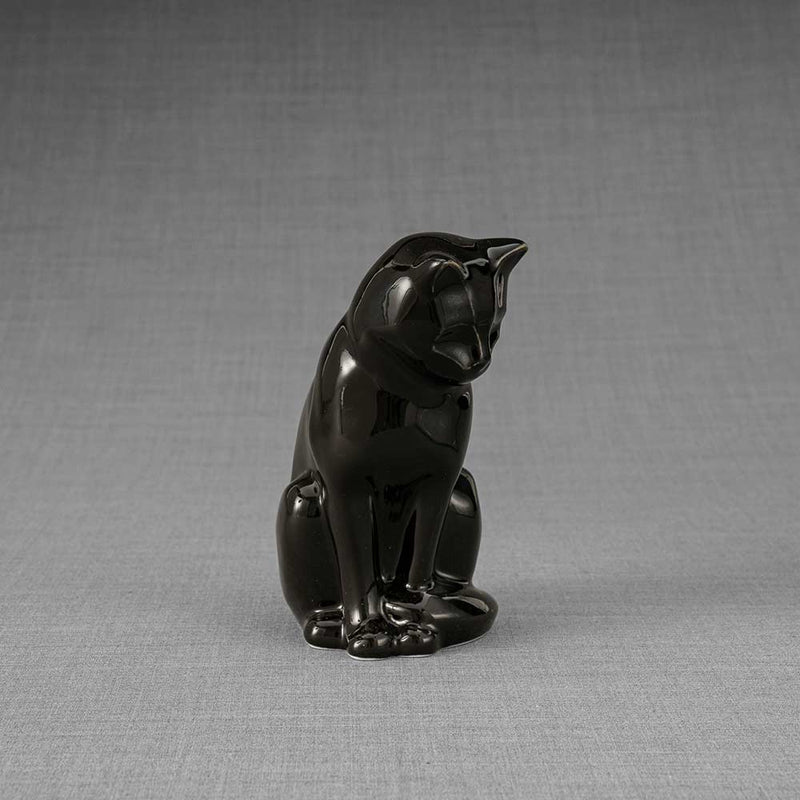 Kitten Urn for Ashes in Glossy Black