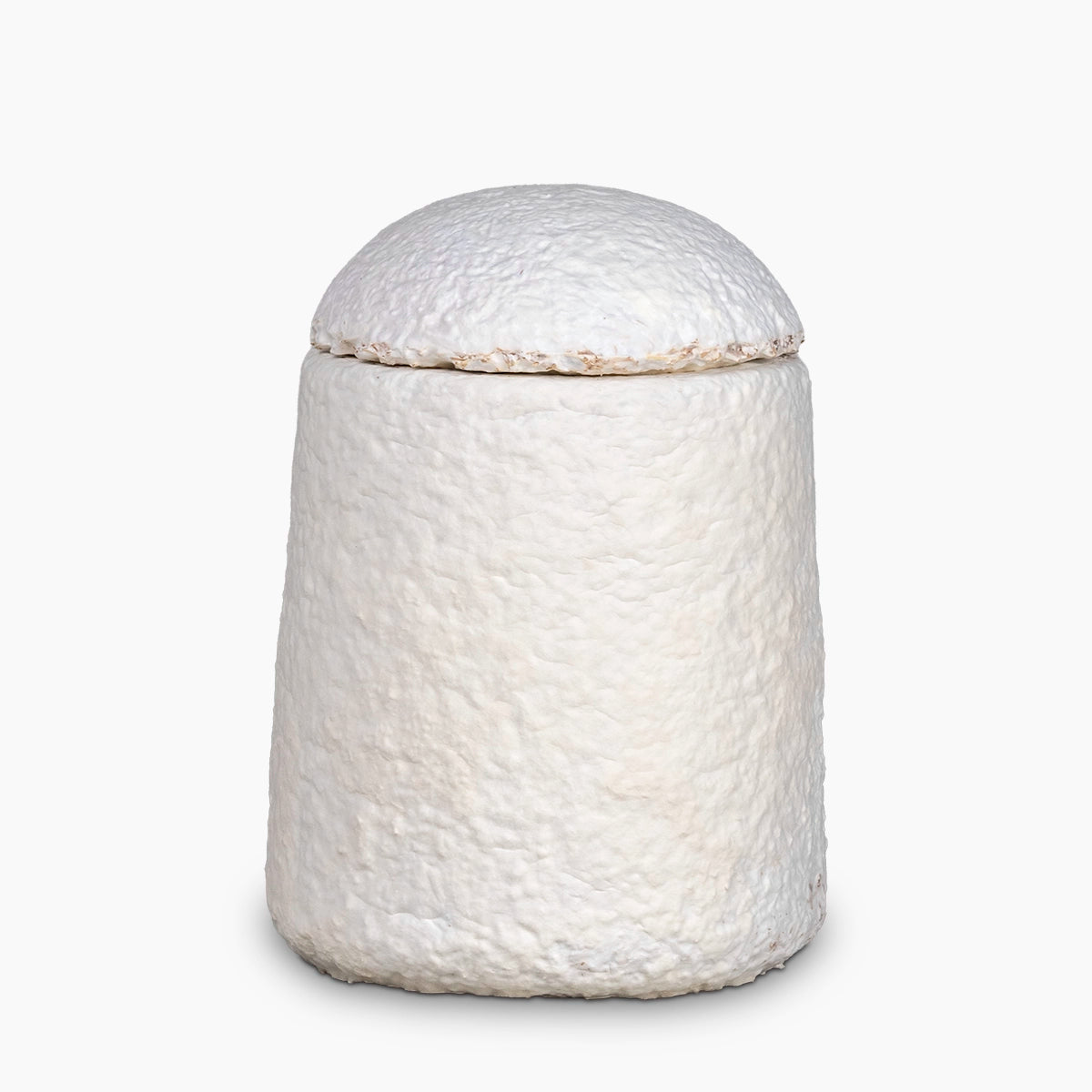 loop earthrise_ biodegradable urn for ashes medium