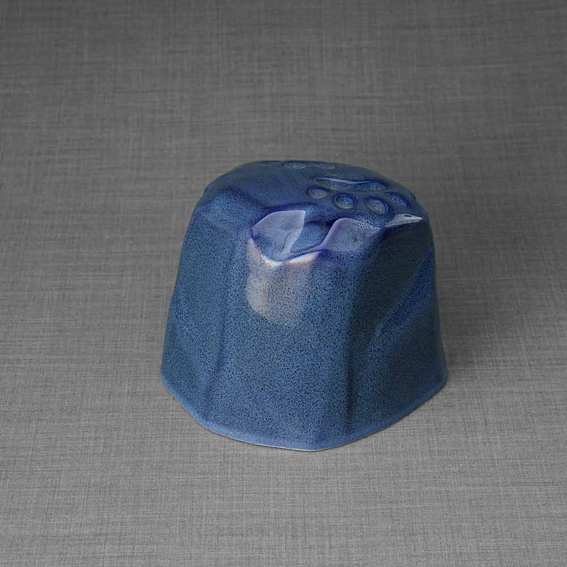 Paw Prints Dog Urn For Ashes Blue Front
