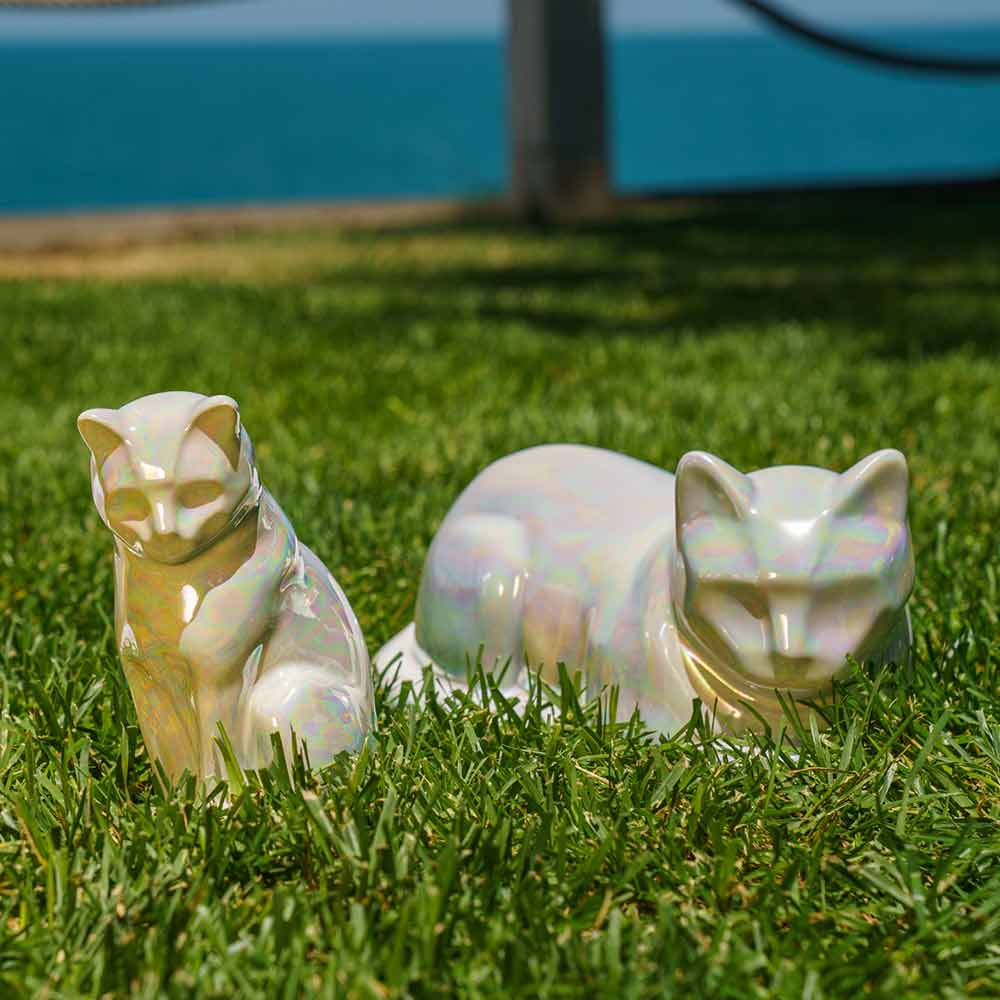 Pearly White Cat Urns For Ashes Outside In Grass Shining