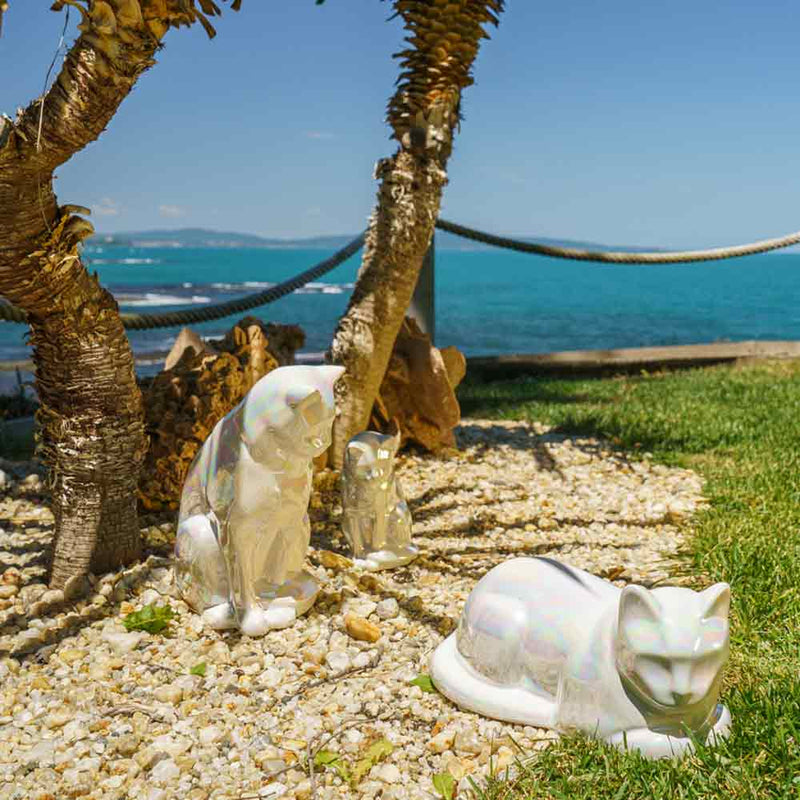 Kitten Urn for Ashes in Pearlescent White