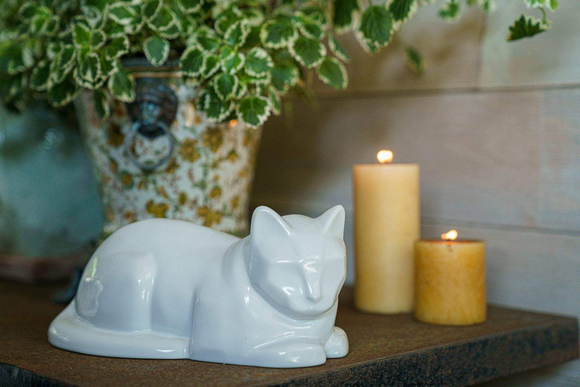 Cat Pet Urn for Ashes in Pearlescent White