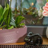 Rabbit Urn for Ashes in Glossy Black