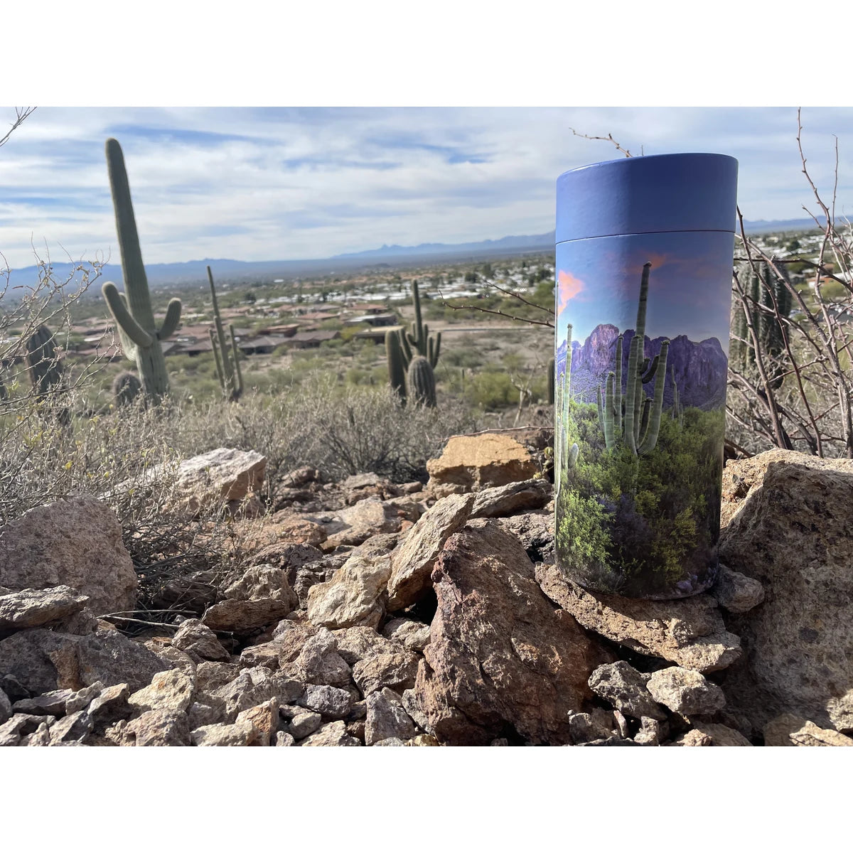 Saguaro Trail Eco Friendly Scattering Tube for Ashes - Mini