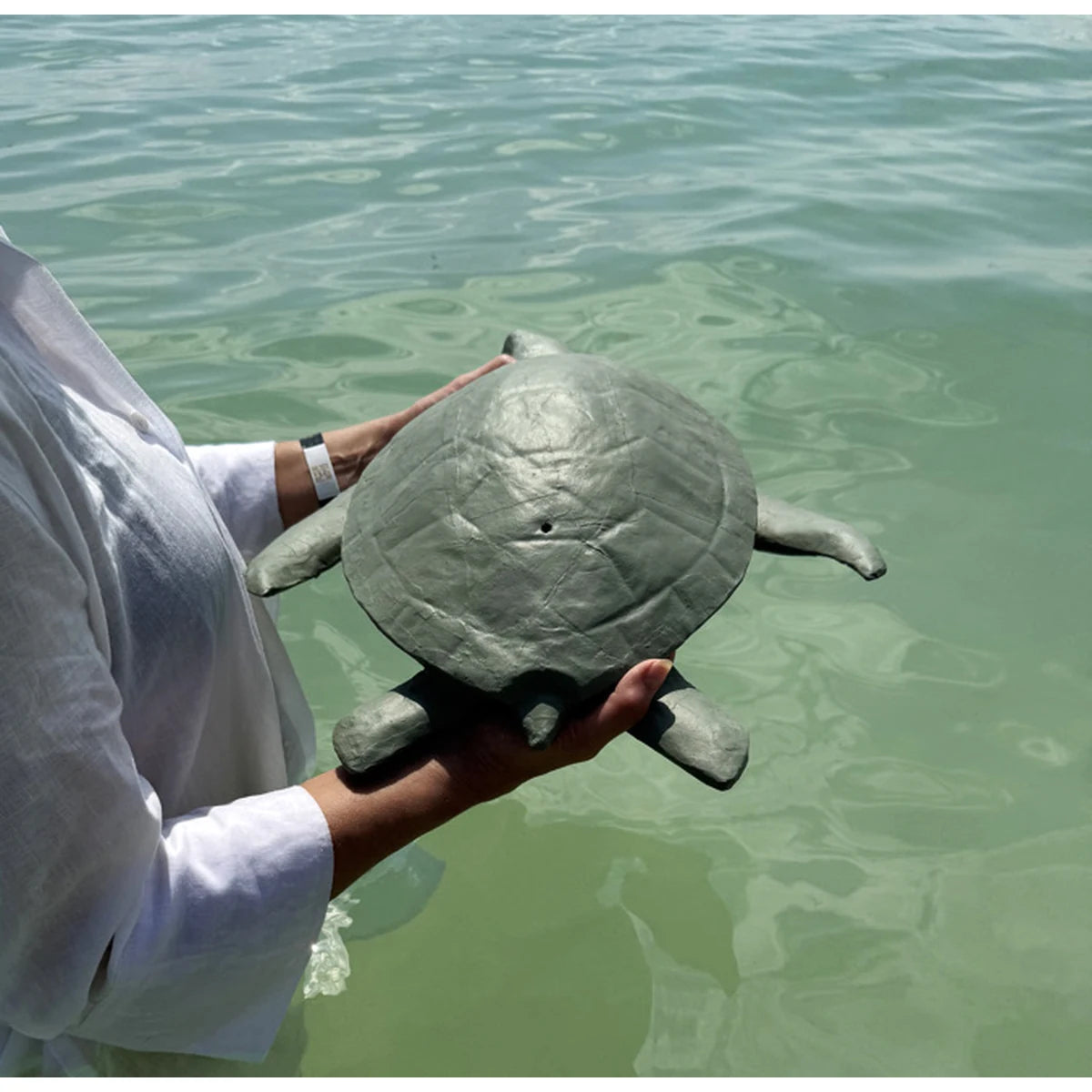 Sea Turtle Biodegradable Water Urn for Ashes in Moss - Adult