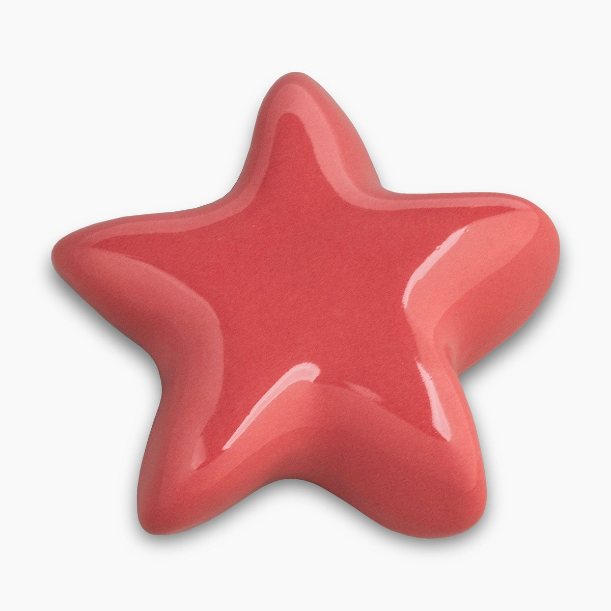 star keepsake urn for ashes in corral top view