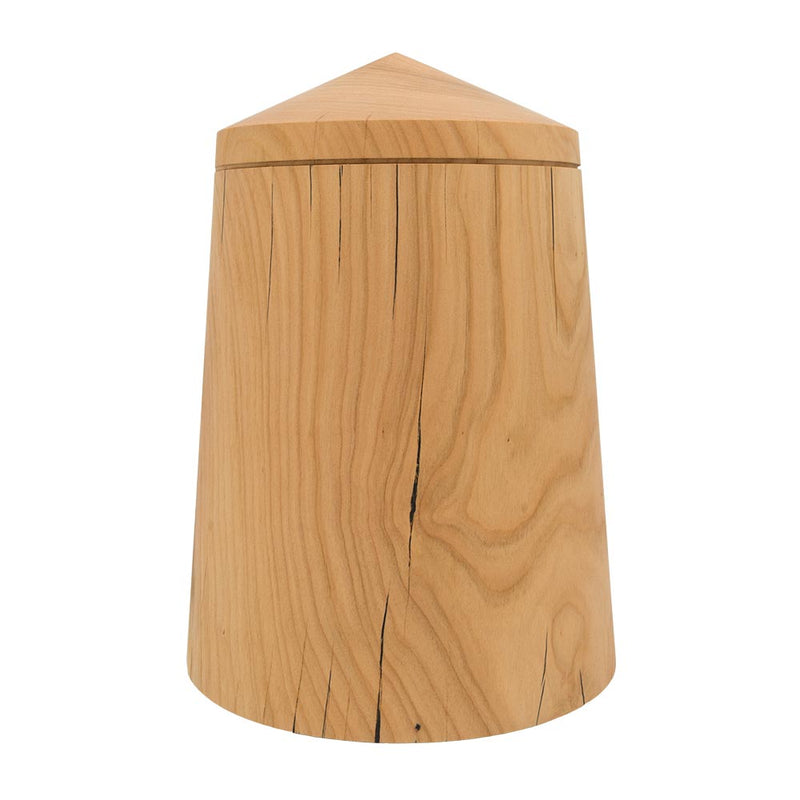 Aspire Cremation Urn For Ashes Left View