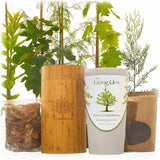 Biodegradable Tree Urn for Ashes
