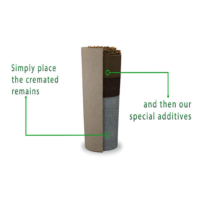 Biodegradable Tree Urn for Ashes Breakdown
