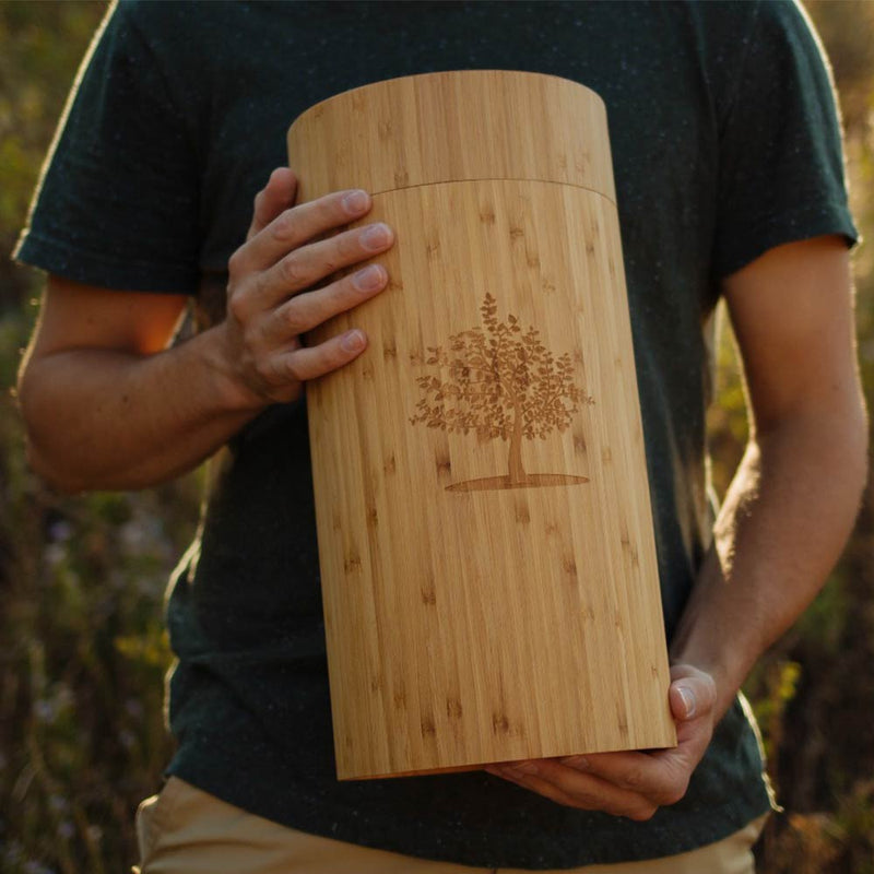 Biodegradable Tree Urn for Ashes Guy Holding