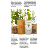 Biodegradable Tree Urn for Ashes Highlights