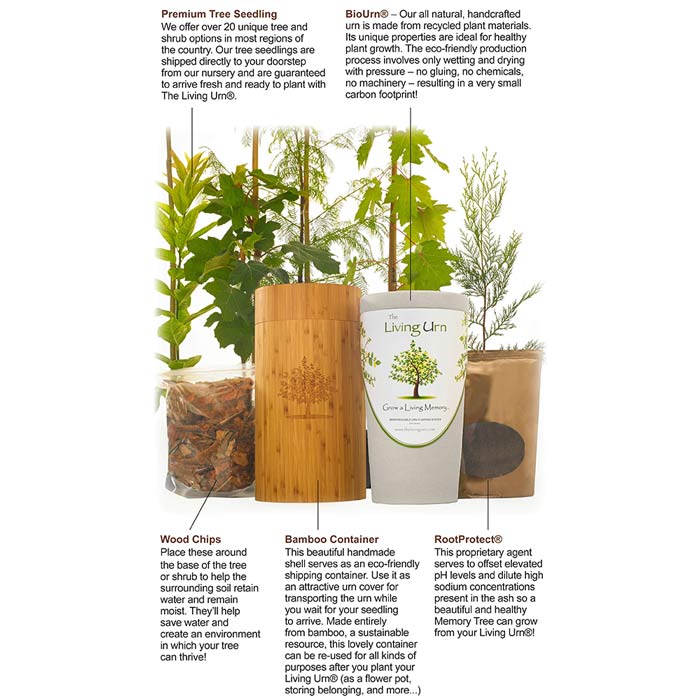 Biodegradable Tree Urn for Pets Ashes Highlights