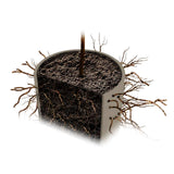 Biodegradable Tree Urn for Pets Ashes Roots